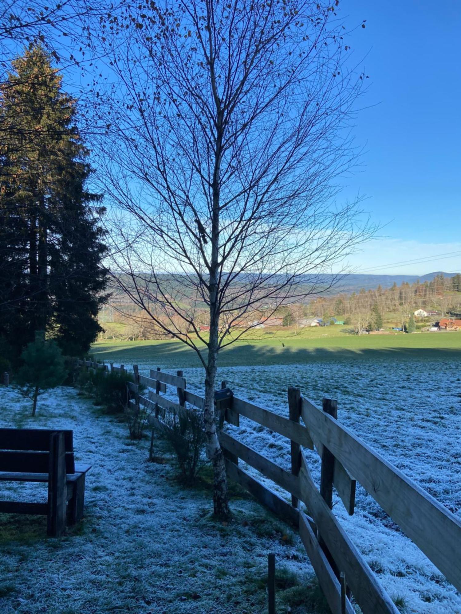 AnouldChalet Chaleureux Avec Cheminee Et Vue Montagne Proche Gerardmer "Mon Beau Sapin"别墅 外观 照片