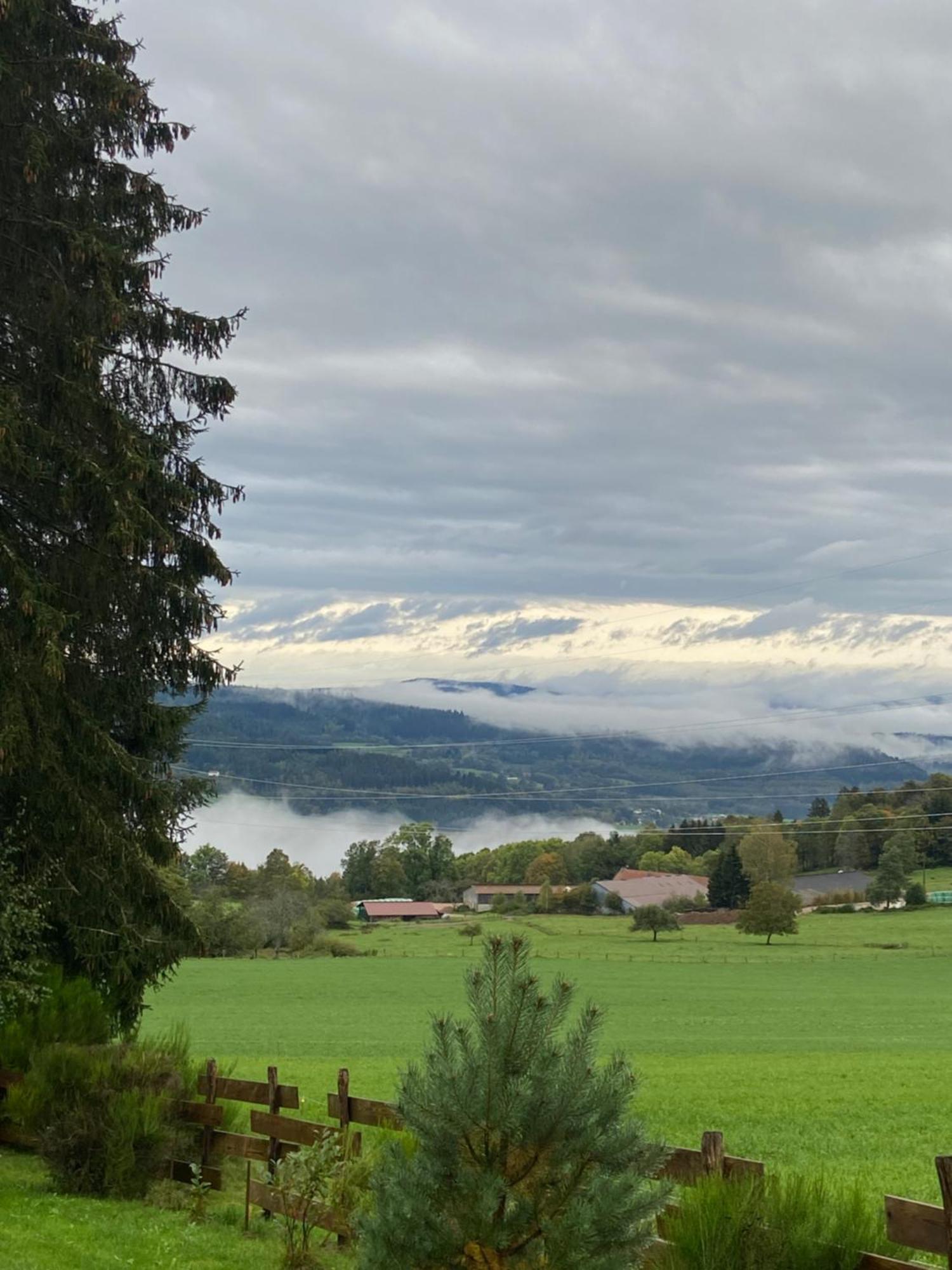 AnouldChalet Chaleureux Avec Cheminee Et Vue Montagne Proche Gerardmer "Mon Beau Sapin"别墅 外观 照片