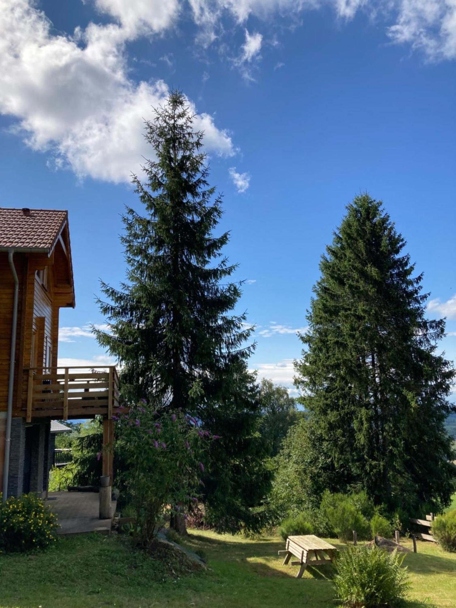 AnouldChalet Chaleureux Avec Cheminee Et Vue Montagne Proche Gerardmer "Mon Beau Sapin"别墅 外观 照片