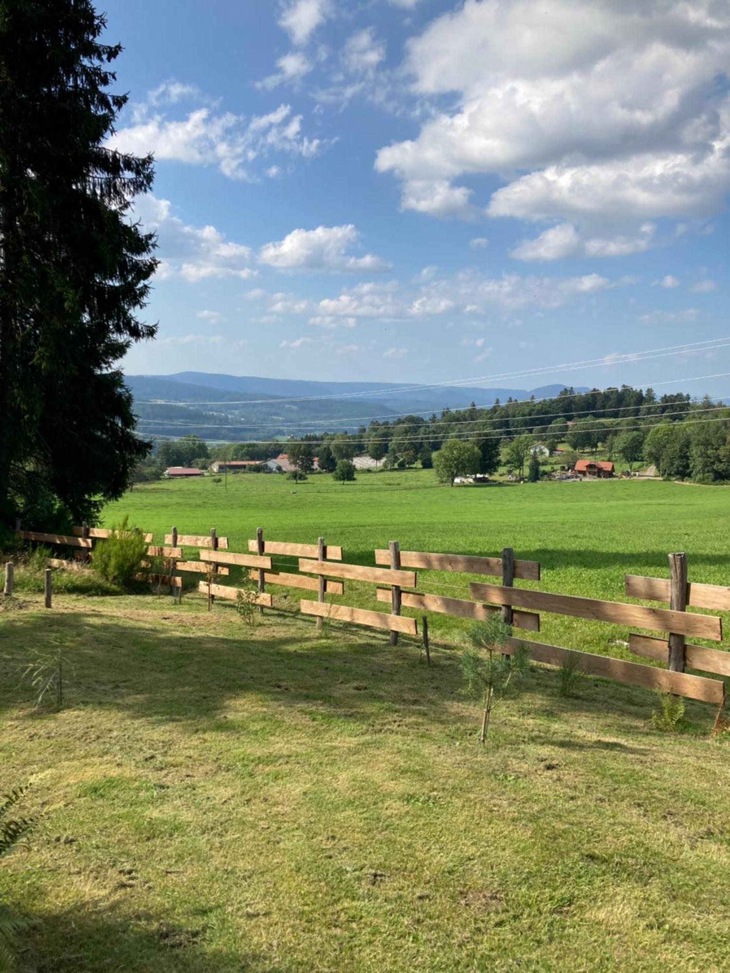 AnouldChalet Chaleureux Avec Cheminee Et Vue Montagne Proche Gerardmer "Mon Beau Sapin"别墅 外观 照片