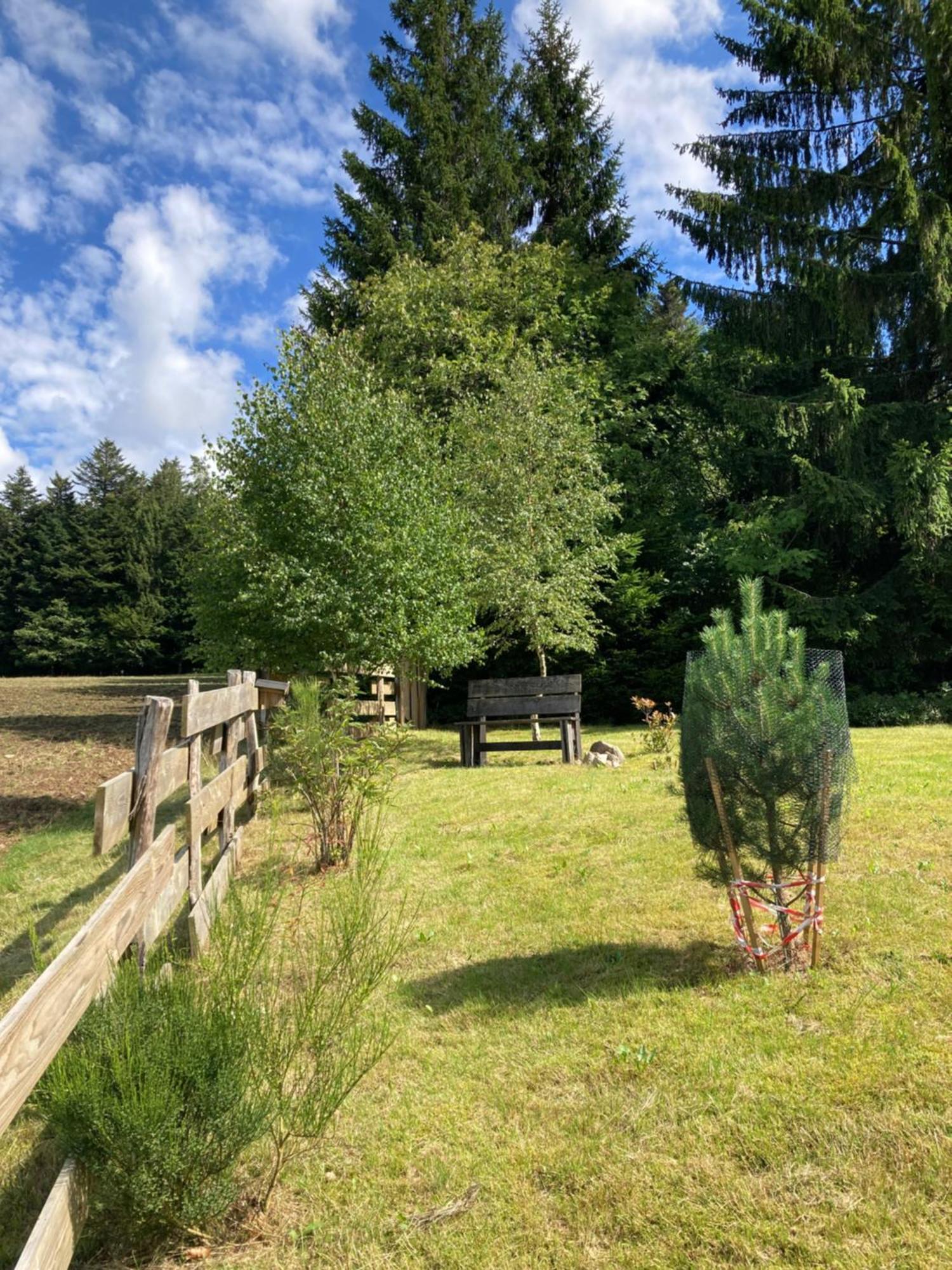 AnouldChalet Chaleureux Avec Cheminee Et Vue Montagne Proche Gerardmer "Mon Beau Sapin"别墅 外观 照片